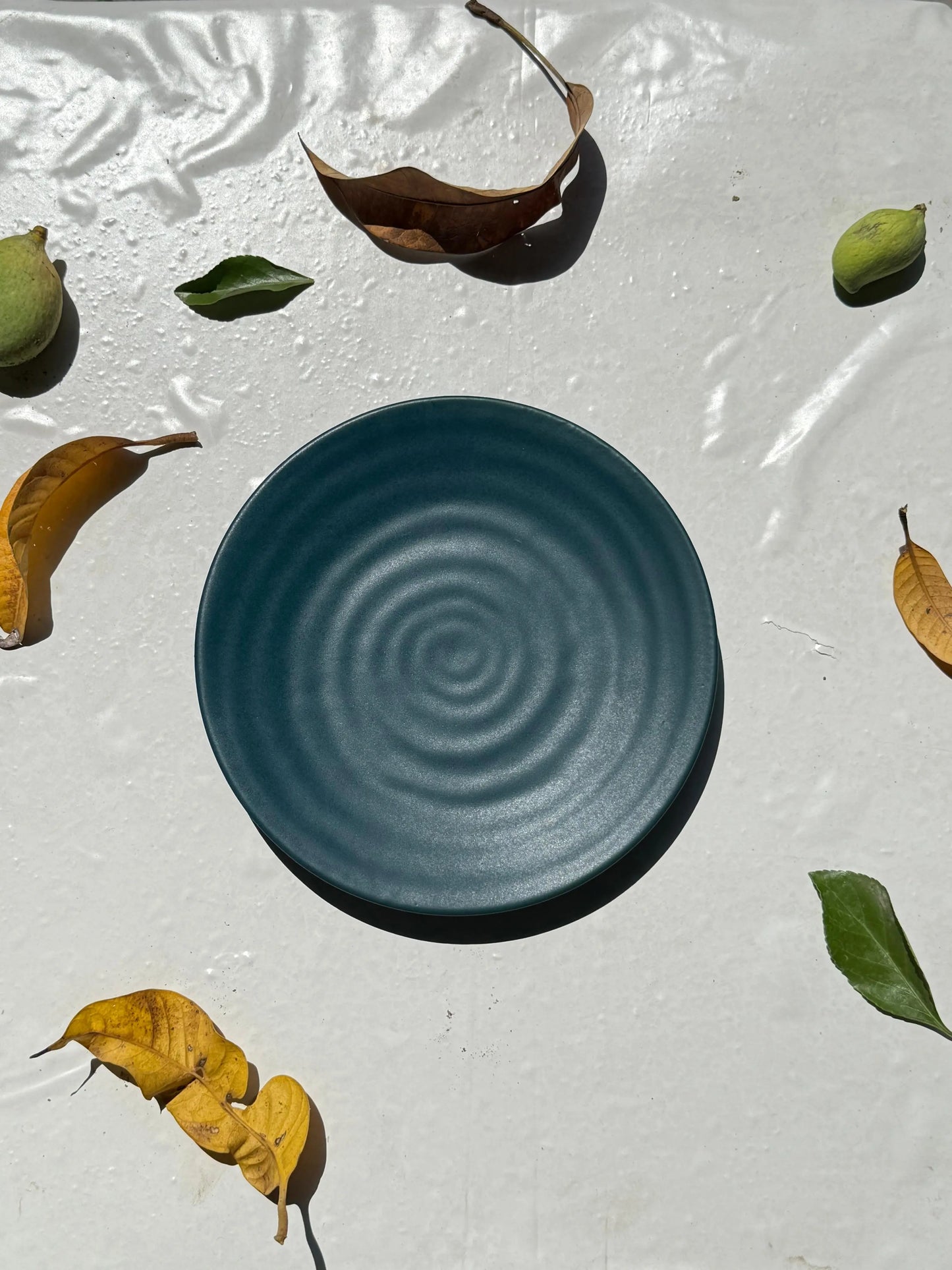 3D Teal Matte Spiral Plate - Set of 2 - The Home Palette - - Plate