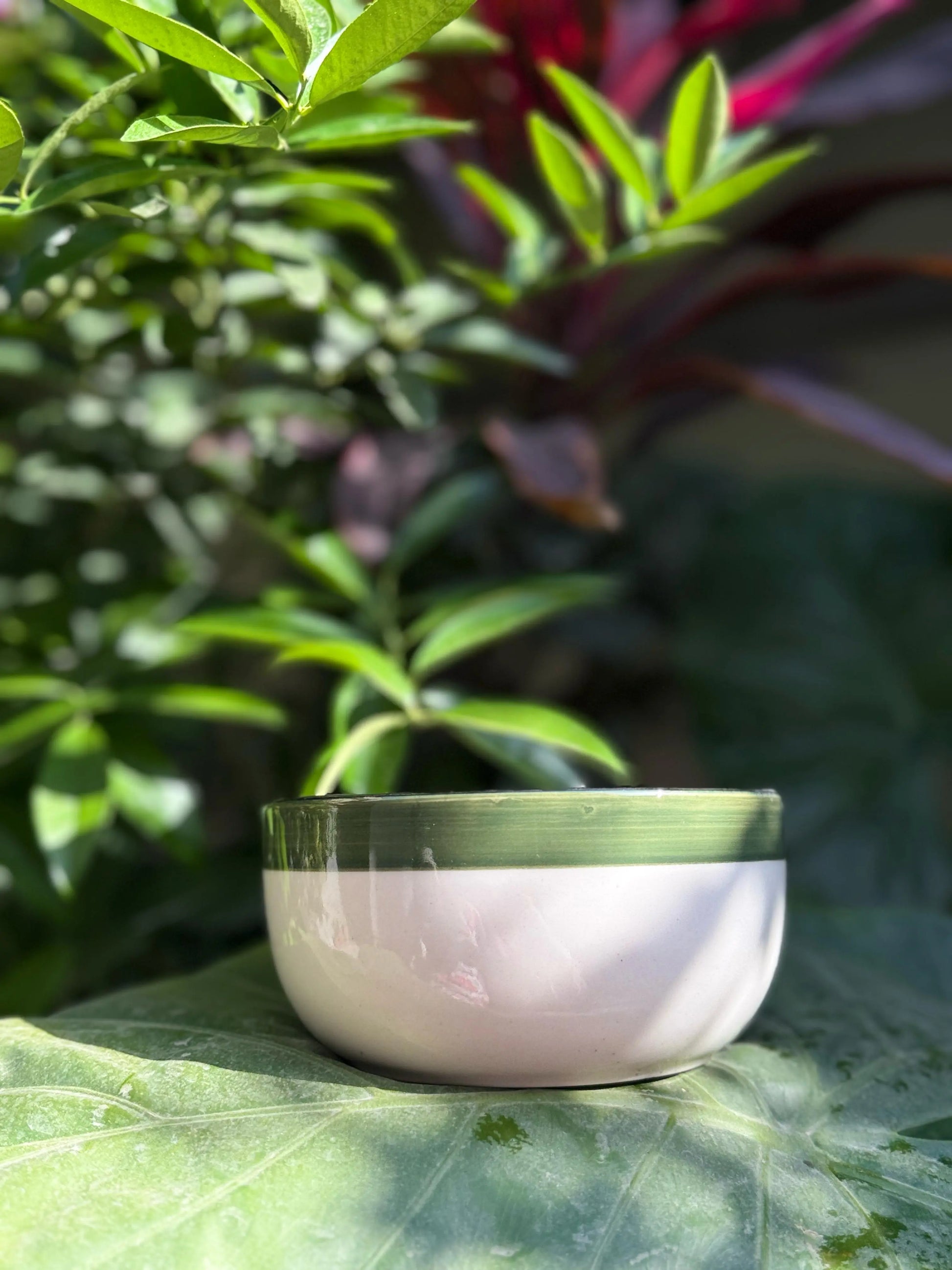 Cove Bowls - The Home Palette -  - Bowl