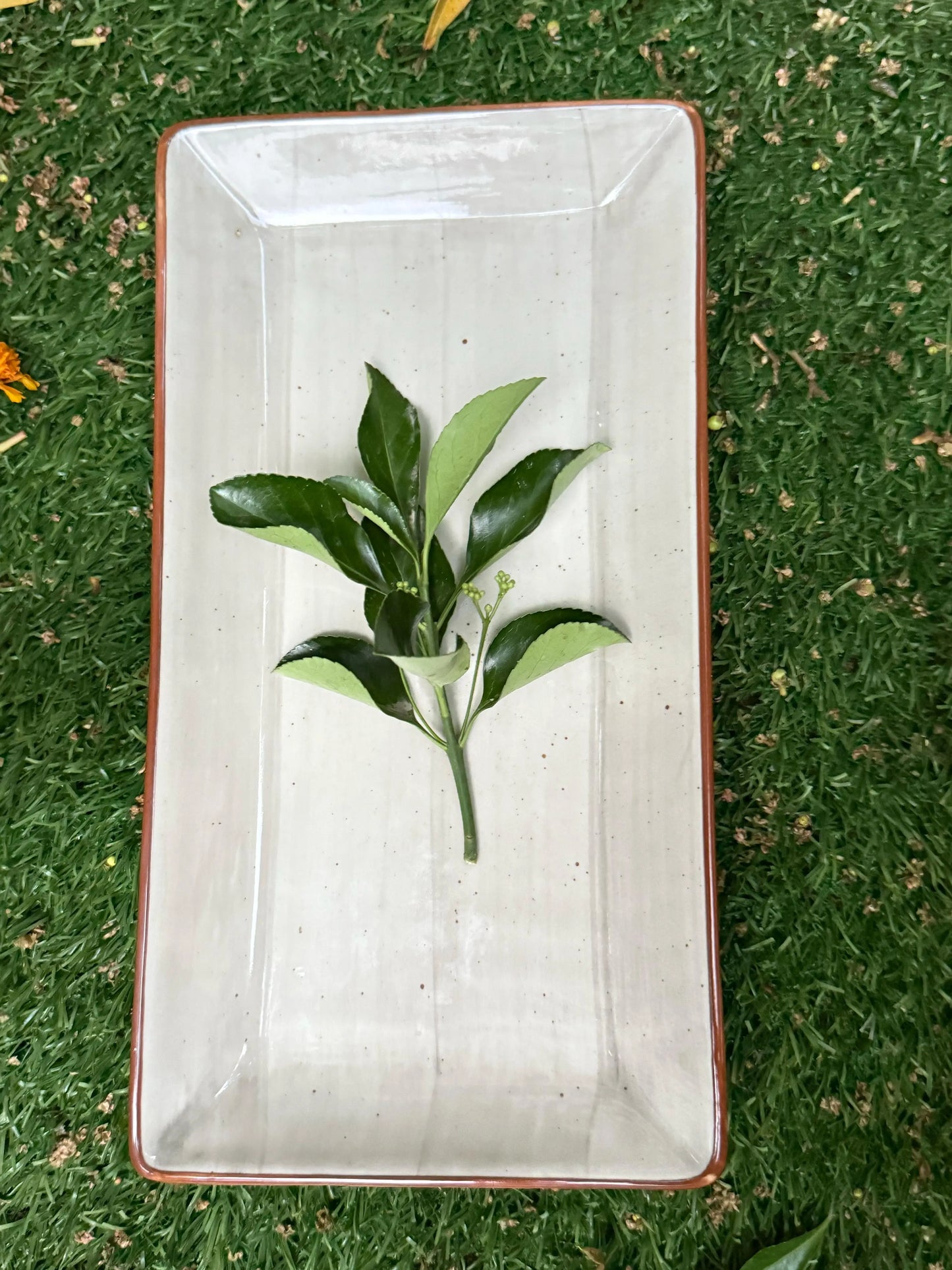 Lira Serving Dish - The Home Palette -  - Dish