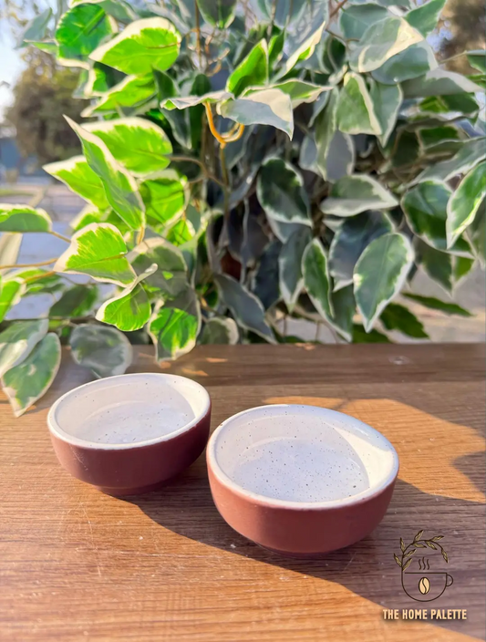 Ramekins / Dip Bowl - Set of 2 - The Home Palette -  - ramekin