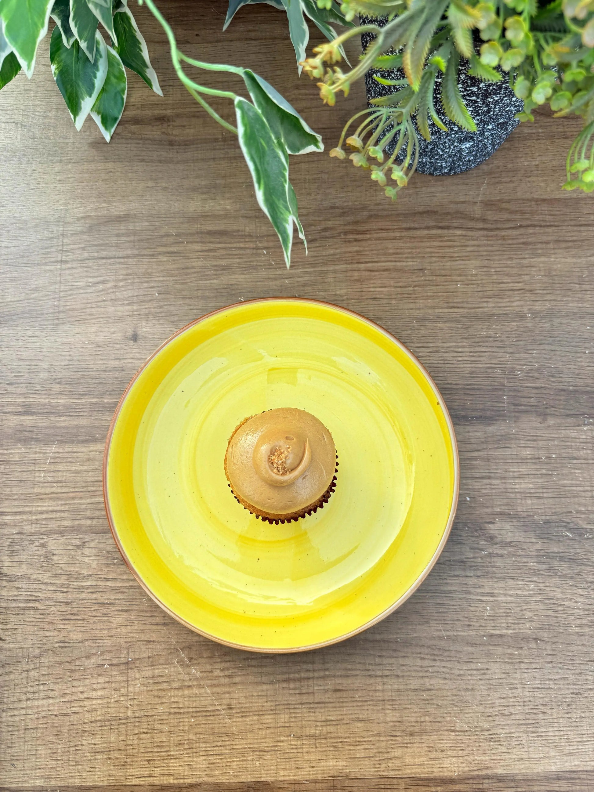 The Cove Plate - The Home Palette -  - Plate