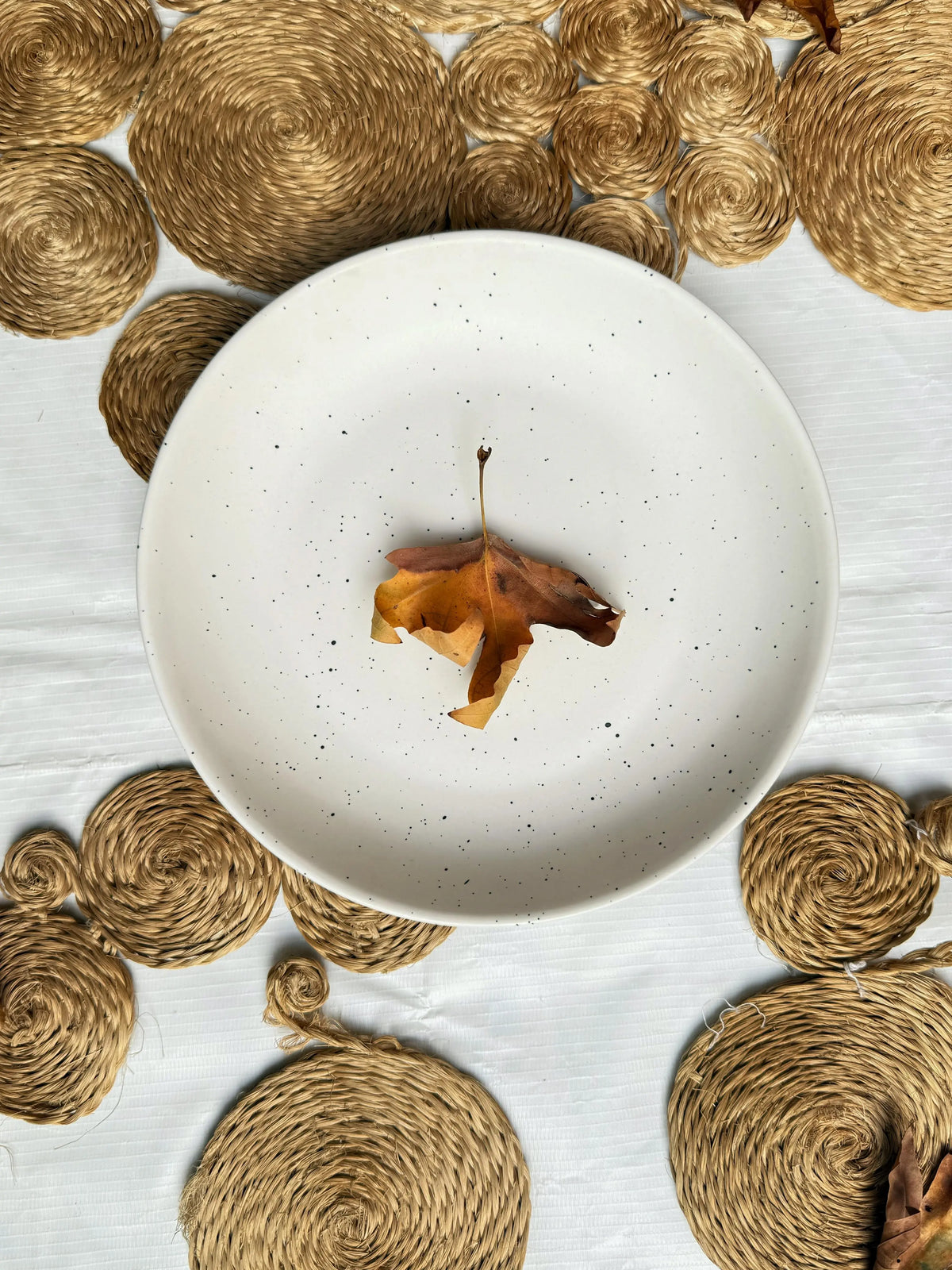 The Cove Plate in ivory white, top view
