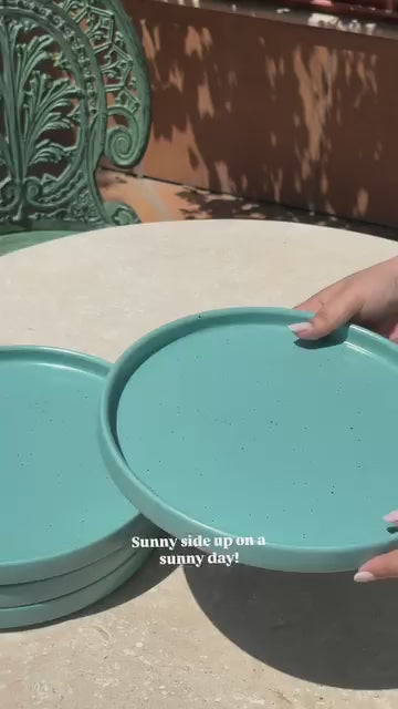 Blue Speckled  Platter